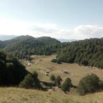 Cheese farm tour in the katun - The value of this experience