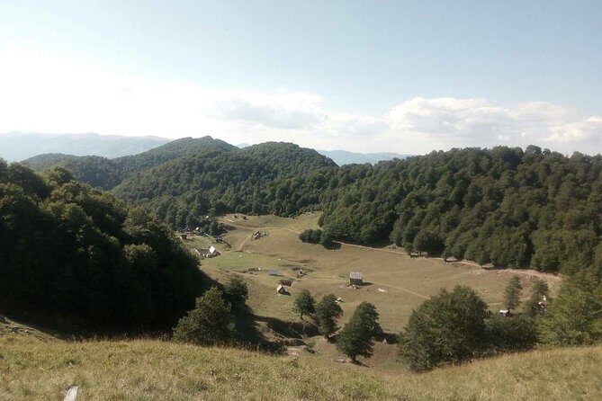 Cheese farm tour in the katun - The value of this experience