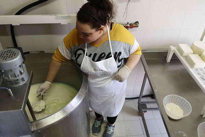 Cheese & ricotta making  Teramo (Abruzzo) Italy - A Deep Dive into the Cheese & Ricotta Making Tour