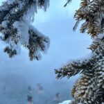 Chena Hot Spring Day Tour - Who This Tour Is Perfect For