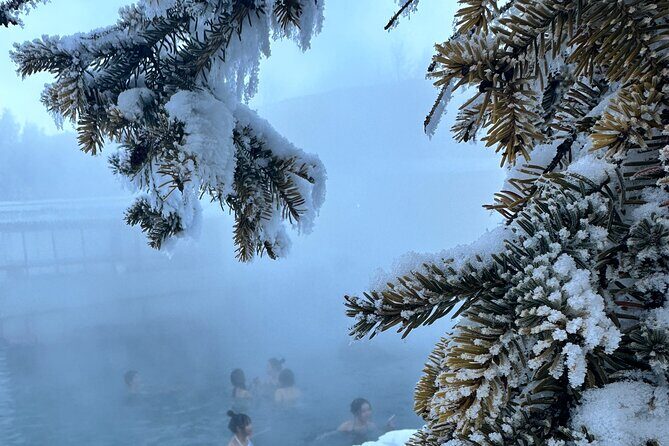 Chena Hot Spring Day Tour - Who This Tour Is Perfect For