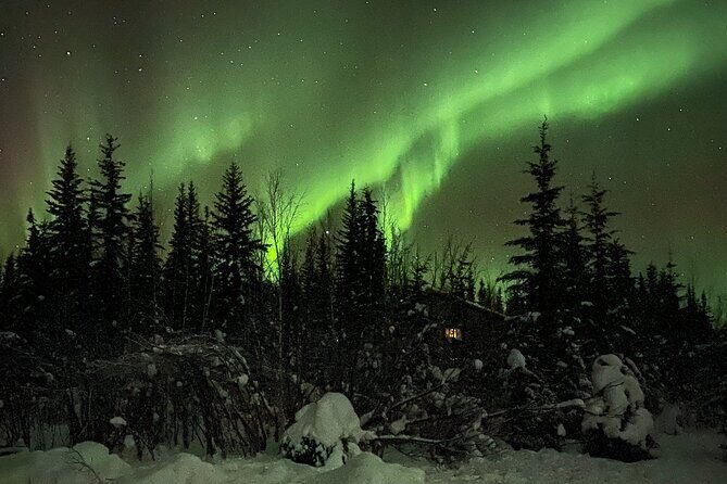 Chena Hot Springs Northern Lights Aurora Borealis From Fairbanks - What Makes This Tour Stand Out?