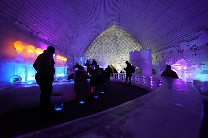 Chena Hot Springs plus Aurora Chase Tour - Final Thoughts