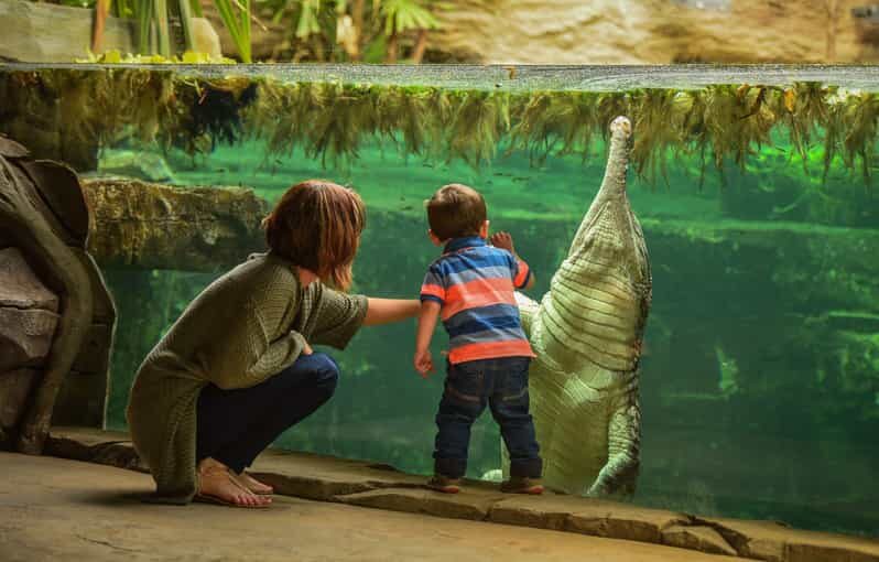 Chester: Chester Zoo Entry Ticket - Who Will Love Chester Zoo?