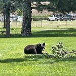 Cheyenne Cañon Art and Nature Segway Tour - Final Thoughts