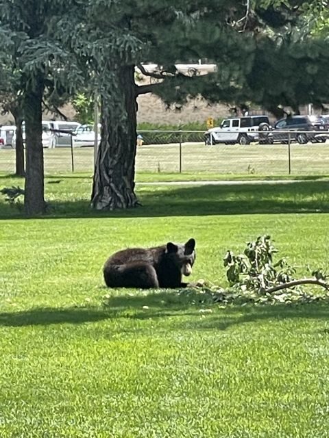 Cheyenne Cañon Art and Nature Segway Tour - Final Thoughts