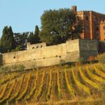Chianti and Castle Small Group Tour from San Gimignano - What Do Travelers Say?