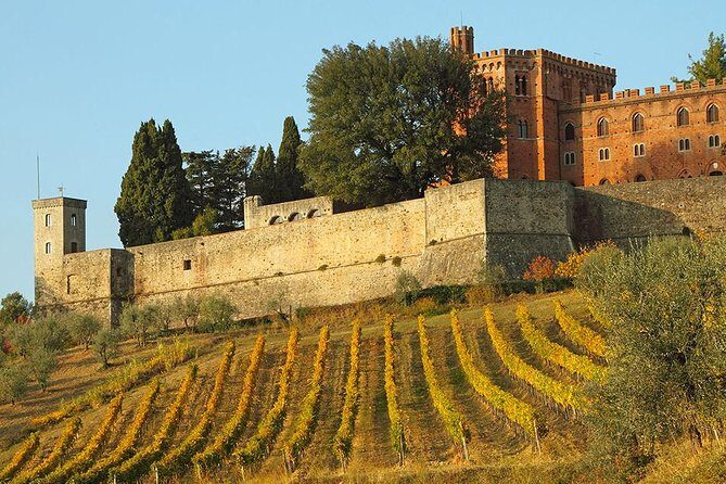 Chianti and Castle Small Group Tour from San Gimignano - What Do Travelers Say?