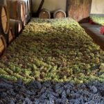 Chianti and San Gimignano - 2 Wineries with Pairing Lunch - The Itinerary in Detail