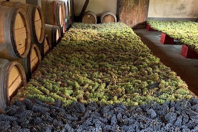 Chianti and San Gimignano - 2 Wineries with Pairing Lunch - The Itinerary in Detail