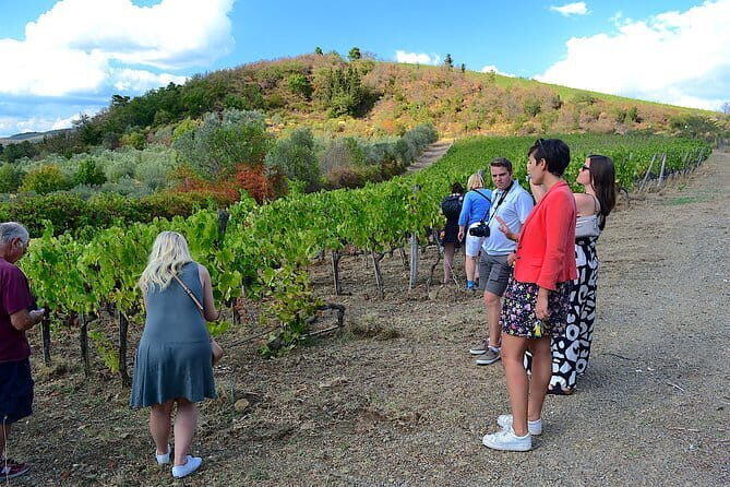 Chianti Classico and Super Tuscan 3 Winery Tour - FAQs