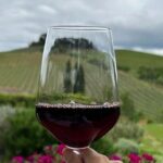 Chianti Classico wine Tour and Tasting - A Deep Dive into the Chianti Classico Wine Tour