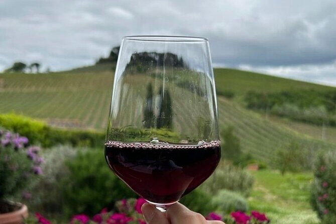 Chianti Classico wine Tour and Tasting - A Deep Dive into the Chianti Classico Wine Tour