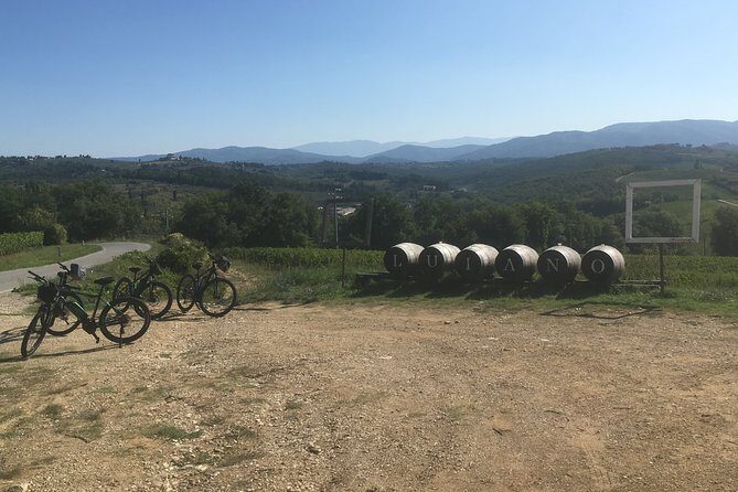 Chianti e-bike tour from Florence with wine tasting - Analyzing the Value