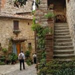 Chianti: eno-excursion through the vineyards - Exploring Chianti with Your Guide