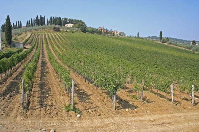 Chianti Experience Shore Excursion from Livorno Port - A Closer Look at the Itinerary