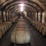 Chianti from Florence:PRIVATE Wine, Olive Oil Tasting in the Tuscan countryside - Practical Tips for Travelers