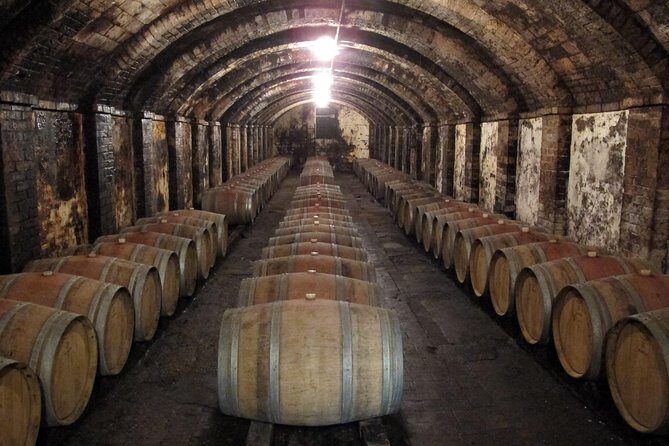 Chianti from Florence:PRIVATE Wine, Olive Oil Tasting in the Tuscan countryside - Practical Tips for Travelers