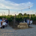 Chianti Half Day Wine Tour from Florence - What This Tour Means for You