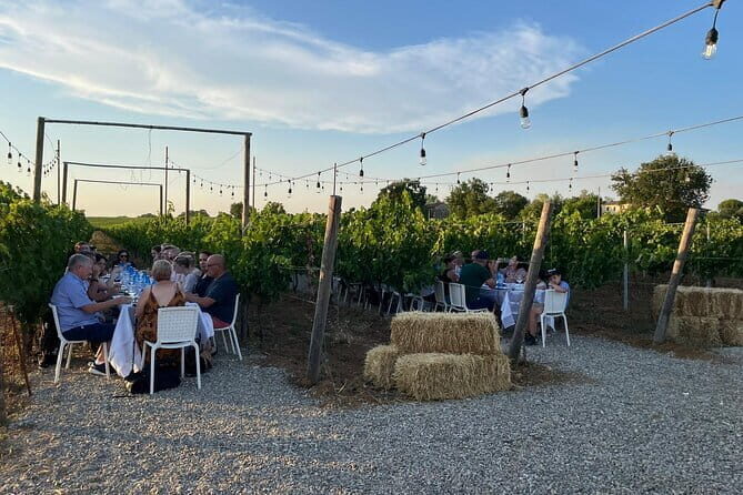 Chianti Half Day Wine Tour from Florence - What This Tour Means for You