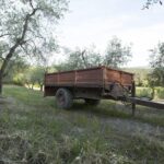 Chianti Organic wine tasting - Final Thoughts: Is This Tour Right for You?