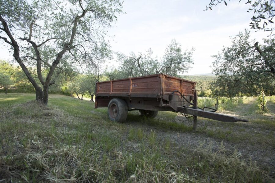 Chianti Organic wine tasting - Final Thoughts: Is This Tour Right for You?