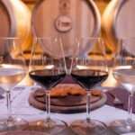 Chianti: Premium Wine, Olive Oil and Vinegar Tasting - In-Depth Review: The Experience at Poggio ai Laghi