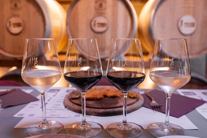 Chianti: Premium Wine, Olive Oil and Vinegar Tasting - In-Depth Review: The Experience at Poggio ai Laghi