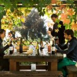 Chianti Rufina: Organic and biodynamic winery tour with tasting - A Scenic Journey: The Vineyards and Olive Groves