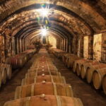 Chianti & Supertuscan Private Tour 2 Wineries with light lunch - A Deep Dive Into the Experience