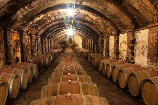 Chianti & Supertuscan Private Tour 2 Wineries with light lunch - A Deep Dive Into the Experience