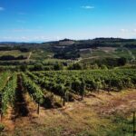 Chianti to San Gimignano E-bike Tour - The Experience in Context: Value and Expectations