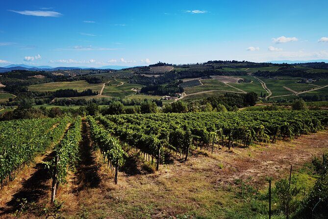 Chianti to San Gimignano E-bike Tour - The Experience in Context: Value and Expectations