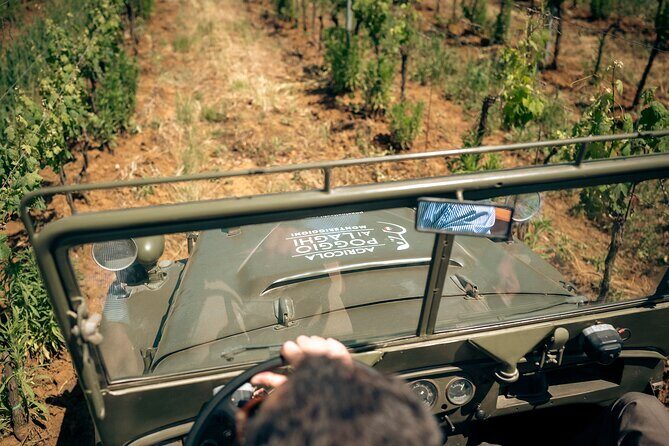 Chianti: Tuscan Vineyard Old Jeep Tour, Wine Tasting & Lunch - Tasting the Heart of Tuscan Wines, Oils & Vinegars
