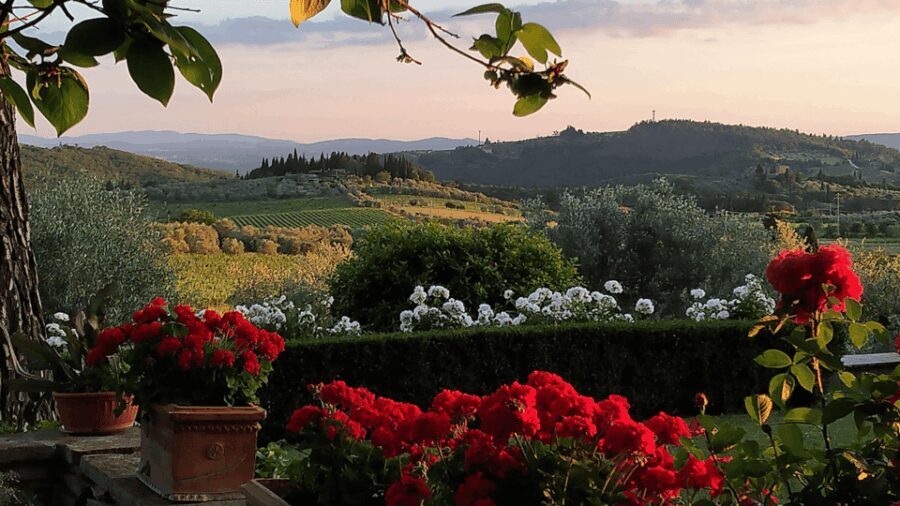 Chianti: Vineyard to Bottle Winery Visit with Tastings - Practical Details and Considerations