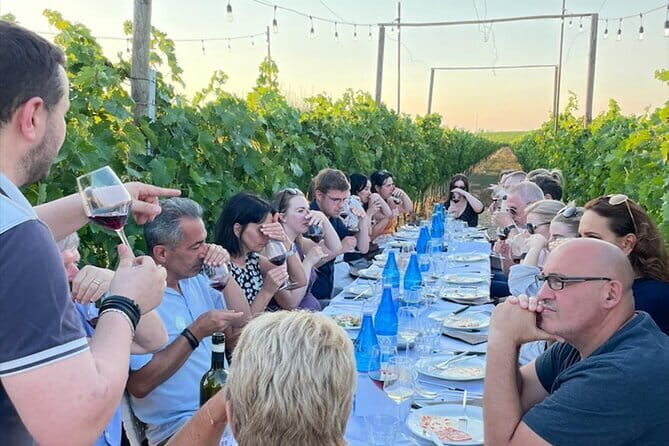 Chianti vineyards: Small-Group tour with wine tasting & Dinner - Who Should Consider This Tour?