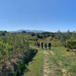 Chianti Wine Tasting Tour from Florence (2 Wineries) - Authenticity and Value for Money
