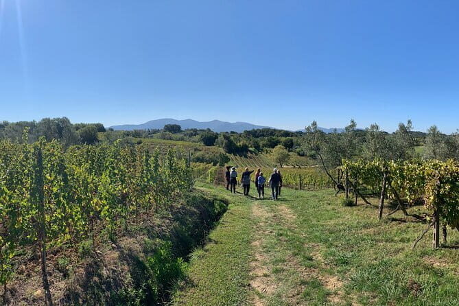 Chianti Wine Tasting Tour from Florence (2 Wineries) - Authenticity and Value for Money