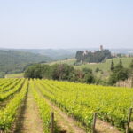 Chianti Wine Tastings at Sunset Day Trip from Florence - The Sunset and the Tasting Experience