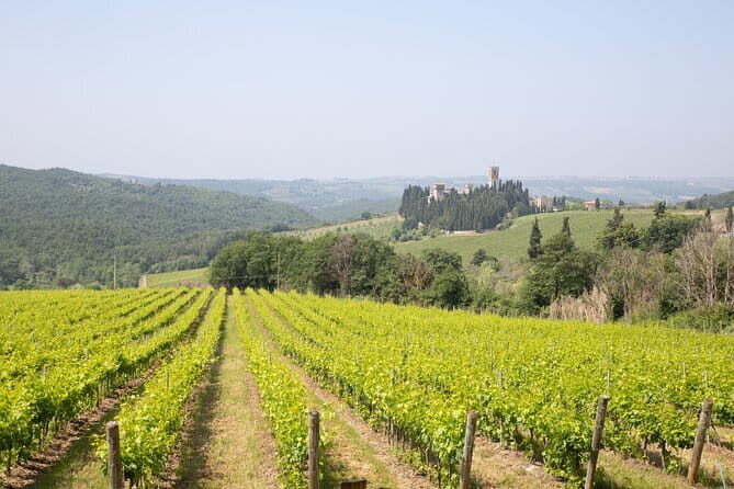 Chianti Wine Tastings at Sunset Day Trip from Florence - The Sunset and the Tasting Experience