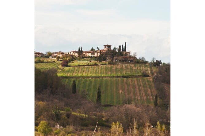 Chianti Wine Tour from Florence to San Gimignano with 2 Wineries - What Makes This Tour Stand Out