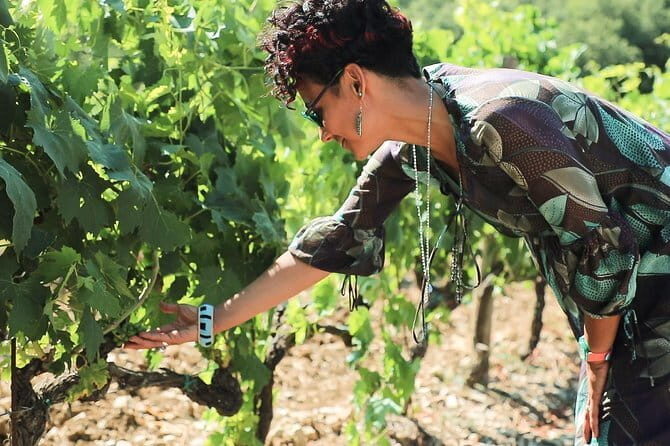 Chianti Wine Tour from Florence - Who Should Consider This Tour?