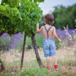 Chianti Wine Tour in Tuscany from Florence - Why This Tour Works