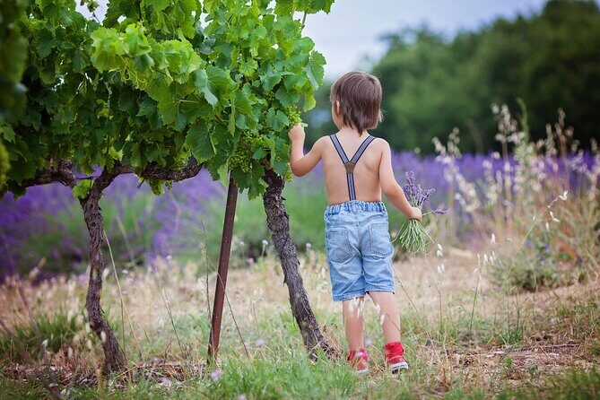 Chianti Wine Tour in Tuscany from Florence - Why This Tour Works