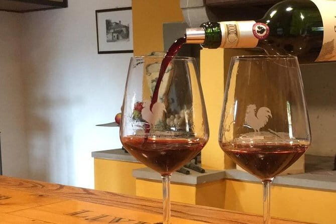 Chianti Wine Tour - Private Wine experience in Tuscany Countryside - Practical Tips for Your Chianti Day Trip