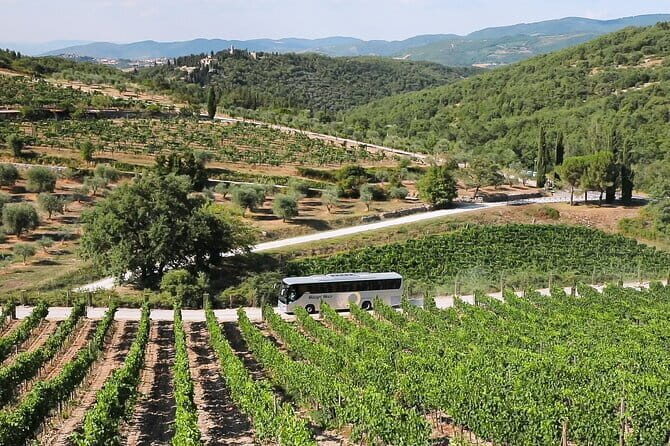 Chianti Wine Tour: Two Wine Tastings, Vineyards and Cellar Visit - A Deep Dive into the Chianti Wine Tour Experience