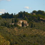 Chianti Wine Tour with Tastings Semi-Private Experience - The Transport and Overall Experience