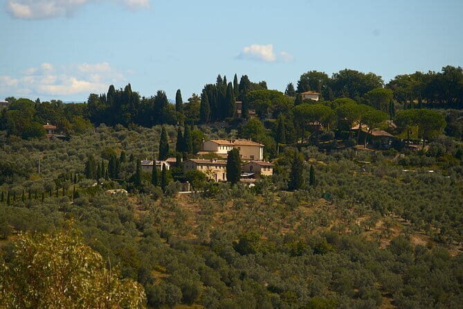 Chianti Wine Tour with Tastings Semi-Private Experience - The Transport and Overall Experience