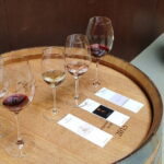 Chianti Winery + Brolio Castle Private Tour - A Deep Dive into the Chianti Winery + Brolio Castle Tour