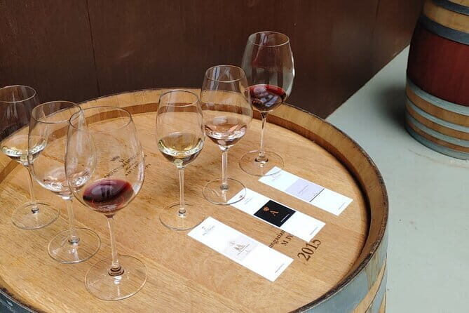 Chianti Winery + Brolio Castle Private Tour - A Deep Dive into the Chianti Winery + Brolio Castle Tour